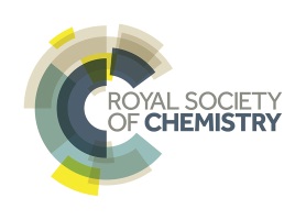 Royal Society of Chemistry